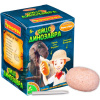 bondibon_vv4781_yaytso_dinozavra_1593227_2